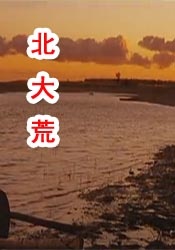 成成人看片在线